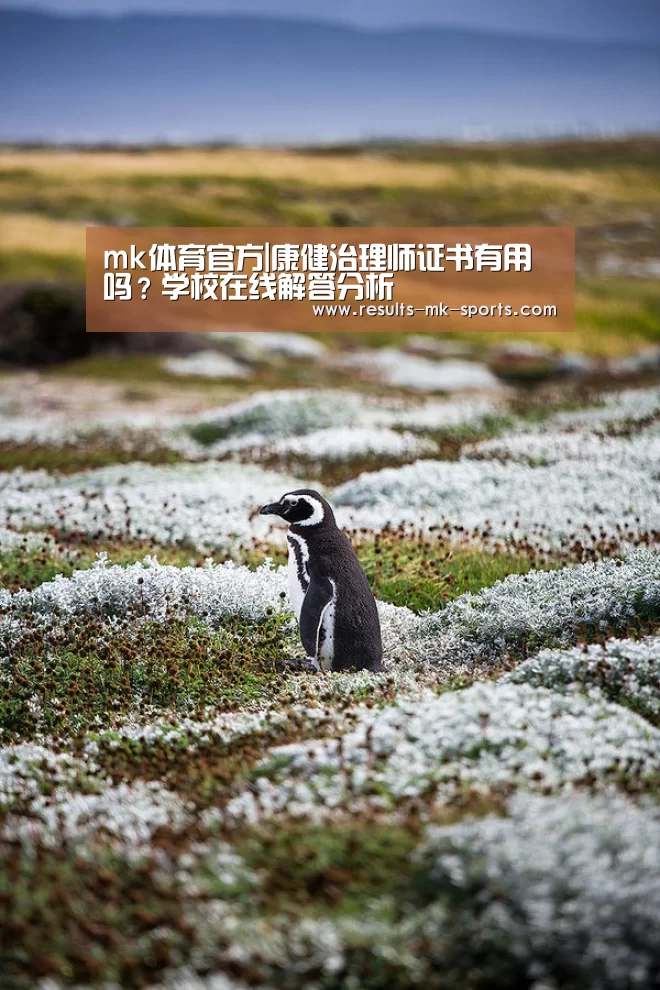 mk体育