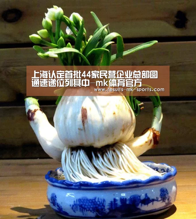 上海认定首批44家民营企业总部圆通速递位列其中-mk体育官方(图2) mk体育官方