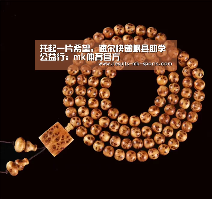 托起一片希望，速尔快递岷县助学公益行：mk体育官方