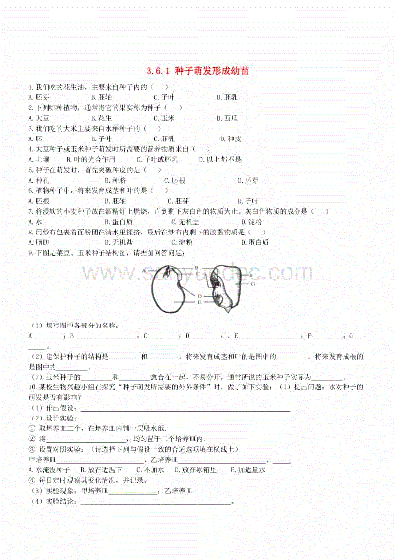 mk体育官方-超级供应链网时代来临，物流企业开始突围？